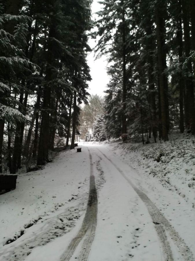 Domek Na Gorce Bieszczady Lesko Bagian luar foto