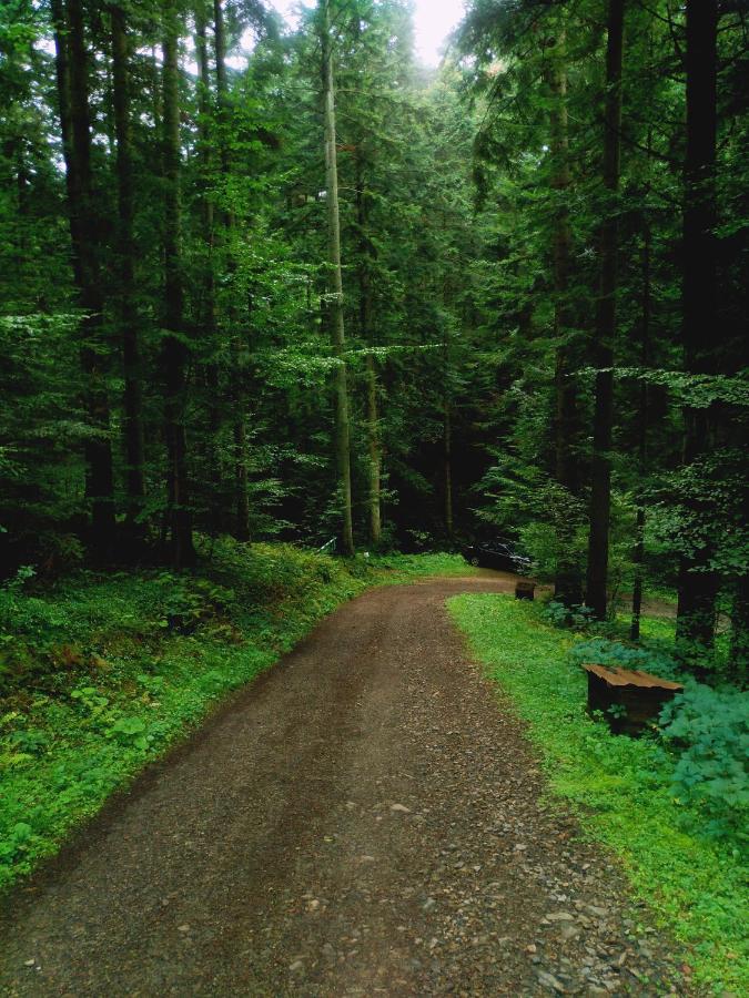 Domek Na Gorce Bieszczady Lesko Bagian luar foto